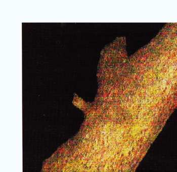 CD Gilles Coronado: Golden Retrieval