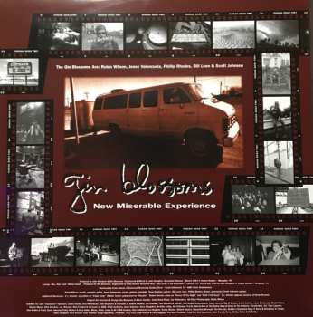 LP Gin Blossoms: New Miserable Experience