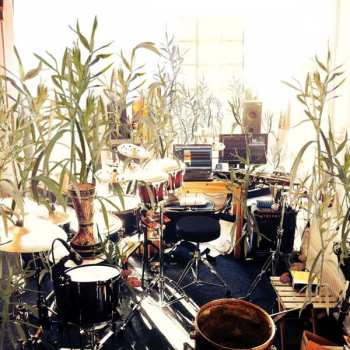 LP Giraffe: Climate Ep