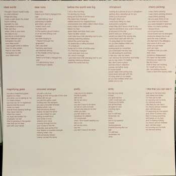 LP Girlpool: Before The World Was Big LTD | CLR