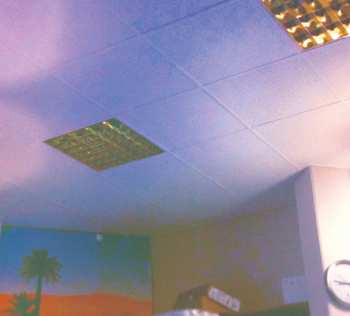 CD Glass Vaults: The New Happy