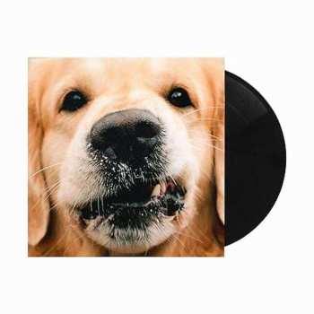 LP Goldroger: Goldie