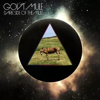 Gov't Mule: Dark Side Of The Mule