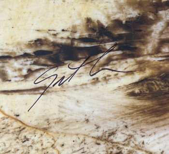 LP Grant Lee Phillips: In The Hour Of Dust CLR | LTD