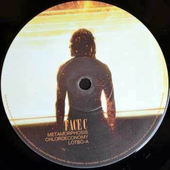 2LP Gregory Privat: Phoenix