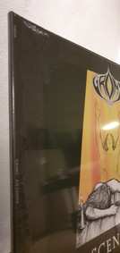 LP Groms: Ascension LTD