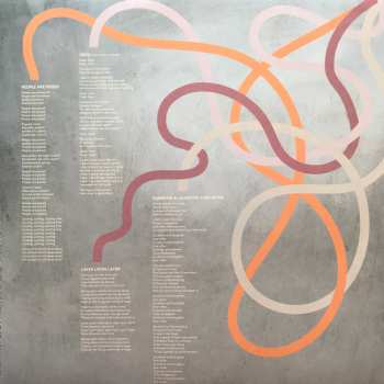 2LP Gruff Rhys: The Almond & The Seahorse (Original Soundtrack) CLR | NUM | LTD