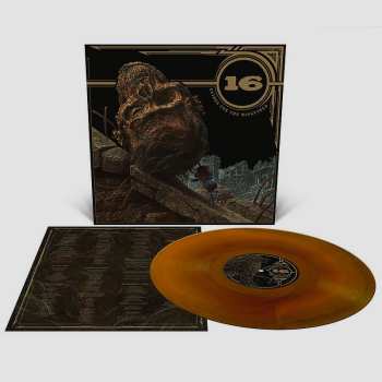 LP 16: Guides for the Misguided