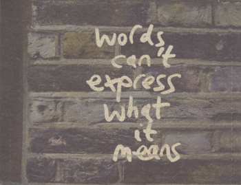 CD Guillemots: Through The Windowpane