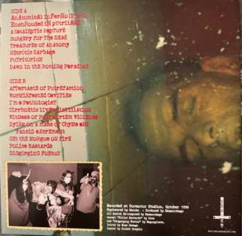 LP Haemorrhage: Anatomical Inferno CLR | LTD