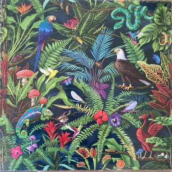 2LP Haken: Fauna LTD | CLR