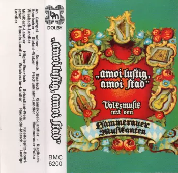 "Amoi Lustig, Amoi Stad" - Volksmusik Mit Den Hammerauer Musikanten