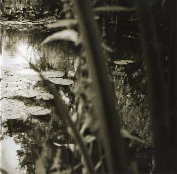 CD Hannelore Bedert: Wat Als