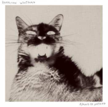 LP Harrison Whitford: Afraid of Nothing
