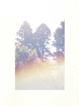 CD Haruka Nakamura: 青い森 IV -蔦屋書店の音楽-