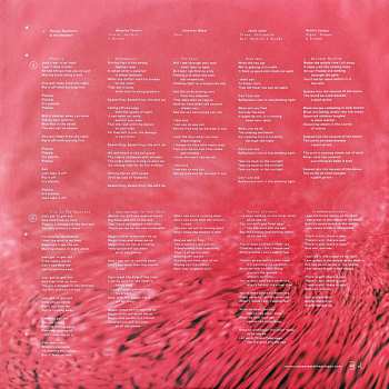 LP Harvey Rushmore And The Octopus: Freedomspacecake