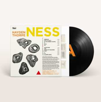 LP Hayden Thorpe: Ness