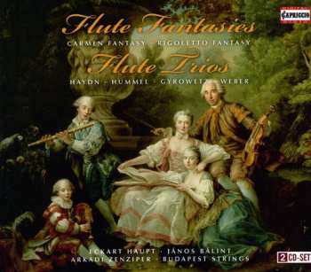 Album Joseph Haydn: Flute Fantasies - Flute Trios