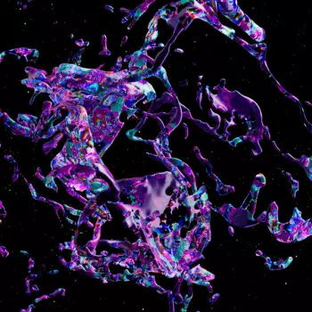 Helena Hauff: Living With Ladybirds