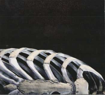 CD Hell City: Flesh & Bones