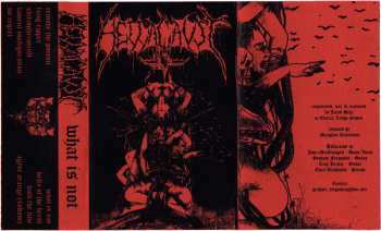 Album Hellacaust: What Is Not