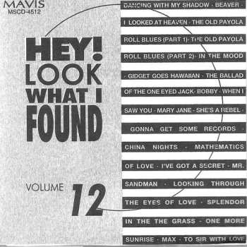 Album Hey Look What I Found Volume 12 / Various: Hey Look What I Found Volume 12