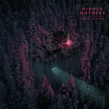 Hidden Mothers: Erosion / Avulsion