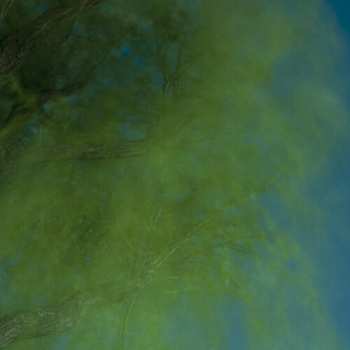 Album Hiroshi Ebina: Into The Darkness Of The Night