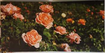 LP +HIRS+: Friends Lovers Favorites CLR