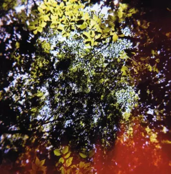 Hisato Higuchi: Butterfly Horse Street