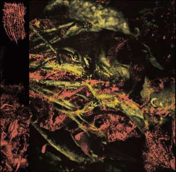 LP Hissing: Permanent Destitution