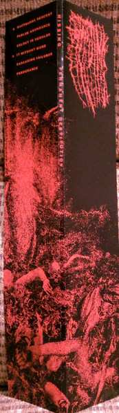 LP Hissing: Permanent Destitution