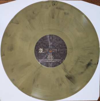 LP HolyName: Initiation: Live In Chicago CLR | LTD