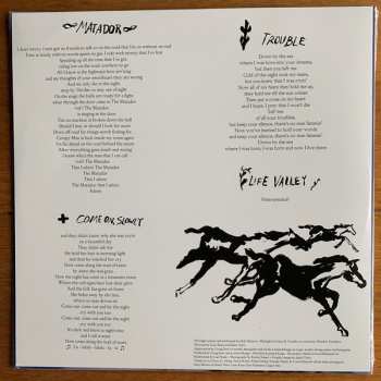 LP Holy Motors: Horse