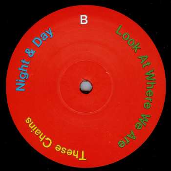 2LP Hot Chip: In Our Heads