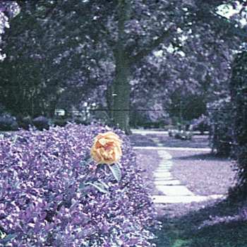 Album Hour: Subminiature