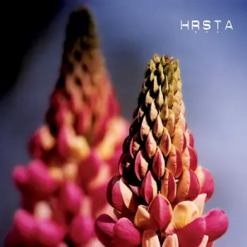 Hrsta: Ghosts Will Come And Kiss Our Eyes