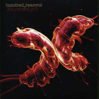 Album Hundred Reasons: The Perfect Gift