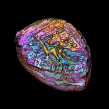 Album Ian Chang: 属 Belonging