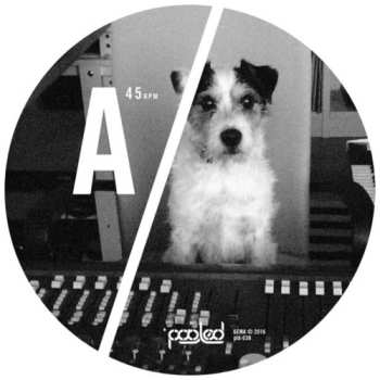 Album Ian Pooley: Turakina EP