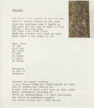 LP Iceage: You're Nothing