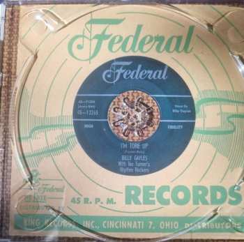 CD Ike Turner: Rocks