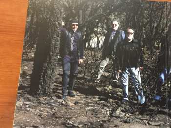 LP Il Cerchio D'Oro: Il Fuoco Sotto La Cenere