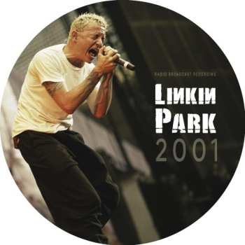 LP Linkin Park: In The Back Of My Head (Live in Auburn Hills, Michigan, Oct 15, 2001) PIC