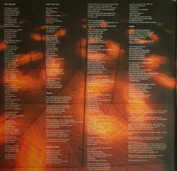 2LP In the Woods...: Omnio CLR | LTD