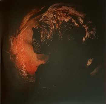 2LP In the Woods...: Omnio CLR | LTD