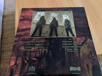 LP Insineratehymn: Disembodied  LTD | CLR