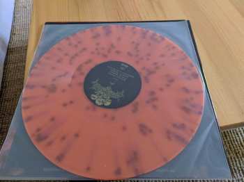 LP Insineratehymn: Disembodied  LTD | CLR