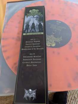 LP Insineratehymn: Disembodied  LTD | CLR