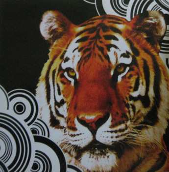 CD Intercooler: Forever Or Whatever